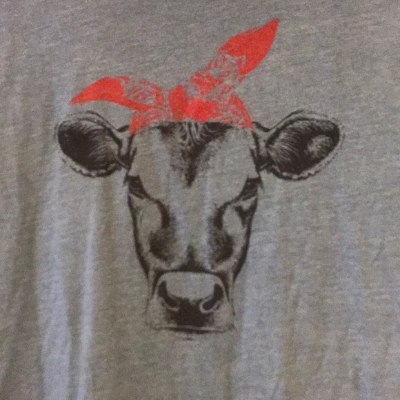 Bella Canvas Tshirt With Cow Bandana 